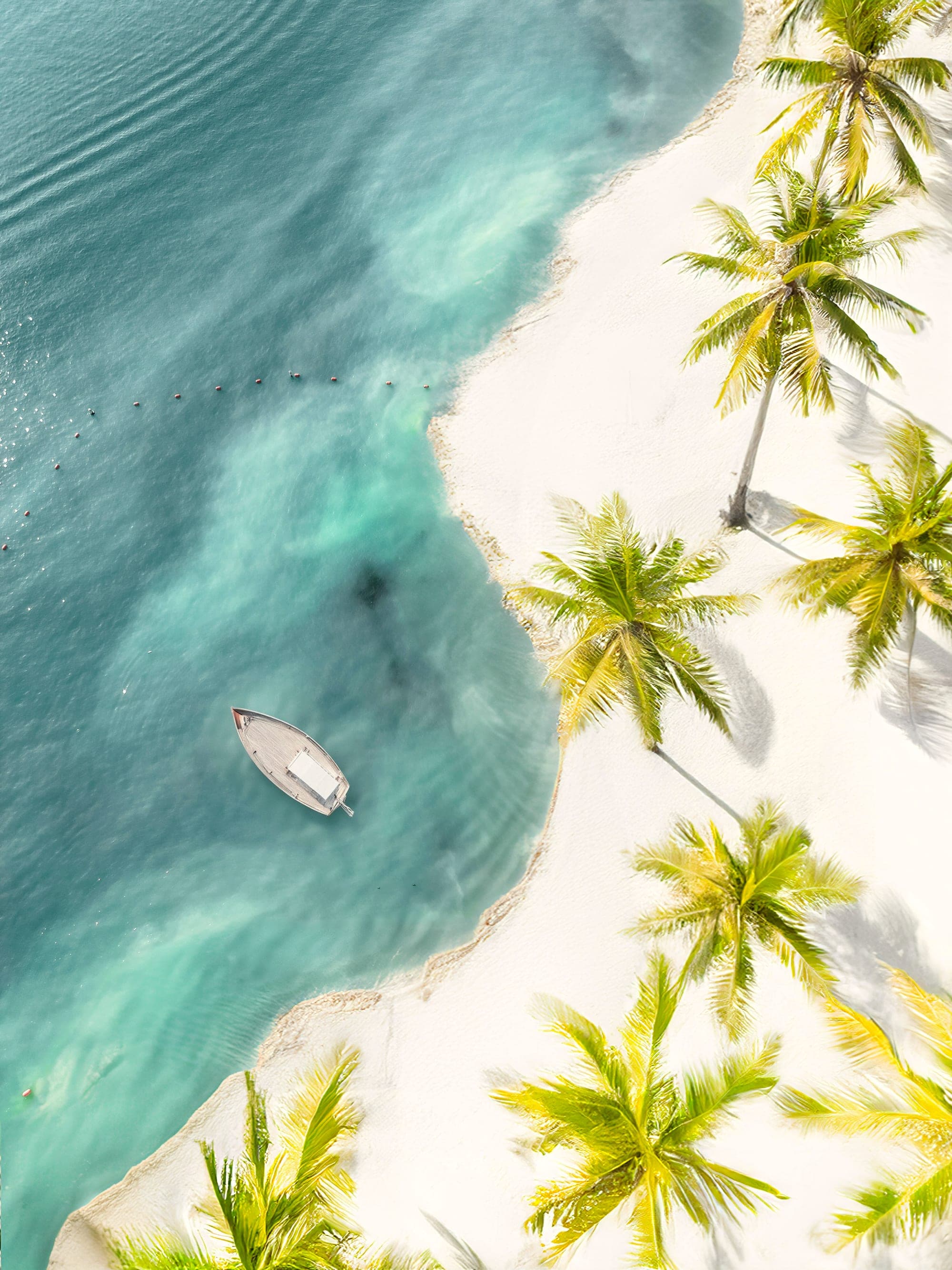 Aerial view of a turquoise Caribbean bay fringed with palm trees